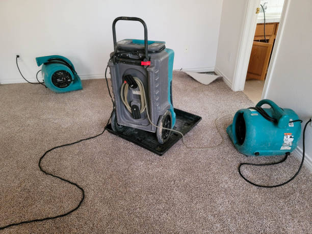 Water damage restoration experts in North Olmsted, OH