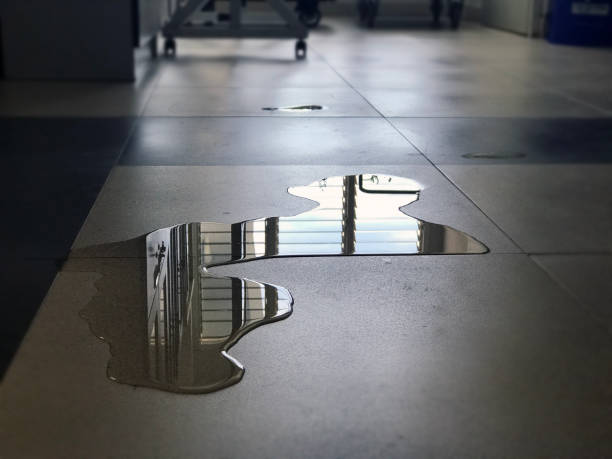 Best Water damage restoration process  in North Olmsted, OH