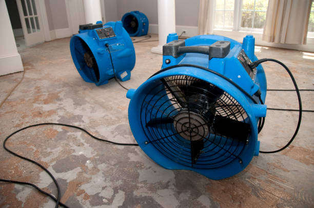 Best Local water damage restoration  in North Olmsted, OH