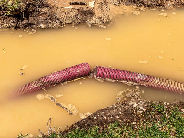 Best 24/7 water damage repair  in North Olmsted, OH